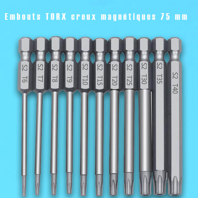 11 PCS Embouts Longs Torx 1-4 T6-T40 100mm Embout de Tournevis Torx Embout  Torx Creux Long Embout Torx T20 Long Embout Torx A411 - Cdiscount Bricolage